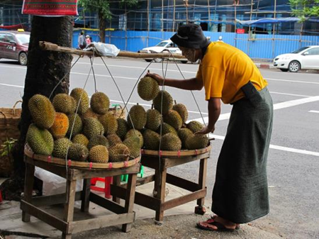 Myanmar-information